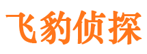 运河市婚姻调查